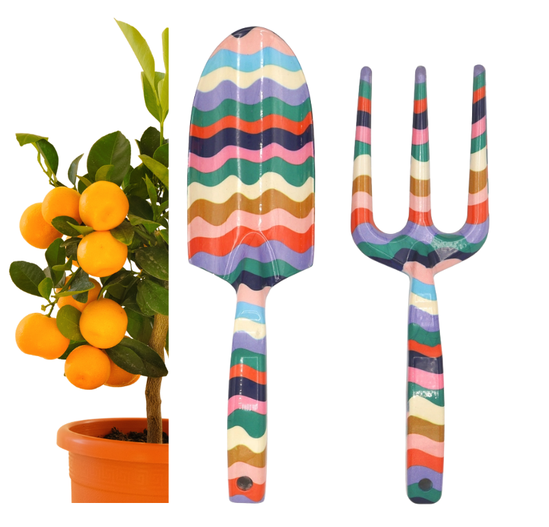 Sodo įrankių duetas - 4